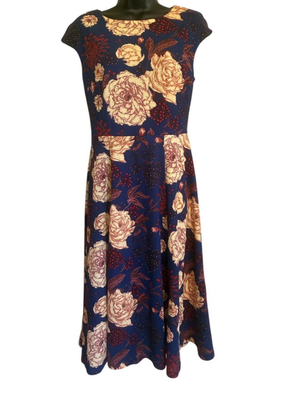 NWT Dresstells Navy Floral Fit-and-Flare Dress with Cream Rose Print Size S